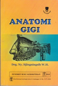 Image of Anatomi Gigi