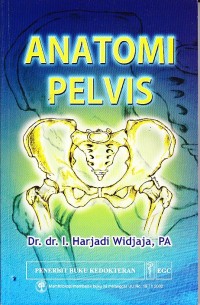 Image of Anatomi Pelvis