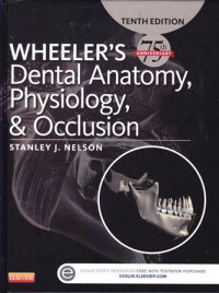 Image of WHEELER'S Dental Anatomy, Physiologi, & Occlussion