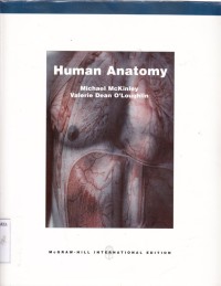 Image of Human Anatomy